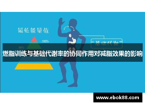 燃脂训练与基础代谢率的协同作用对减脂效果的影响